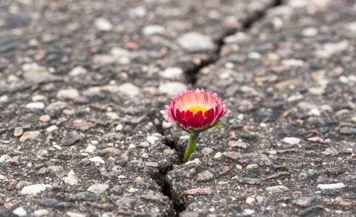 Meg kell őrizned az önmagadba vetett hitet, a lelki erődet, ez fog önbizalmat és kitartást adni.