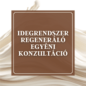Idegrendszer Regeneráló Egyéni Konzultáció