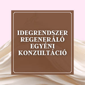 Idegrendszer Regeneráló Egyéni Konzultáció